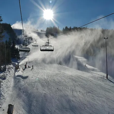 Nelly Am Kurpark Appartement